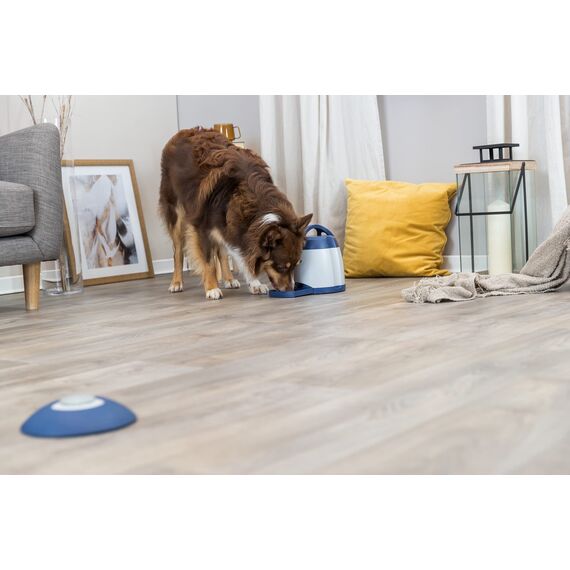TRIXIE Hundespielzeug Intelligenz Dog Activity Strategie-Spiel Memory Trainer 3.0 – Anspruchsvolles Intelligenzspielzeug für Hunde zur Beschäftigung 20x24cm, tierschutzkonform - 32040