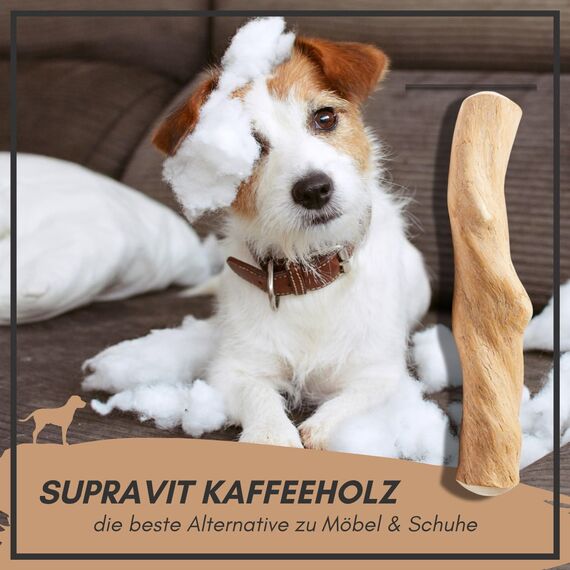 Supravit Natürlicher Kauknochen aus Kaffeeholz für Hunde M | Mehr als EIN Holzstäbchen - spannendes Hunde Kauspielzeug & langanhaltende Beschäftigung | Kaustab Kauholz