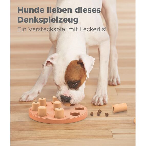 Outward Hound Nina Ottosson Hundespielzeug Intelligenz - Stufe 1 Anfänger - Leckerli-Spender, Beschäftigung & Intelligenzspielzeug für Hunde & Welpen, bei Langeweile & mentaler Stimulation