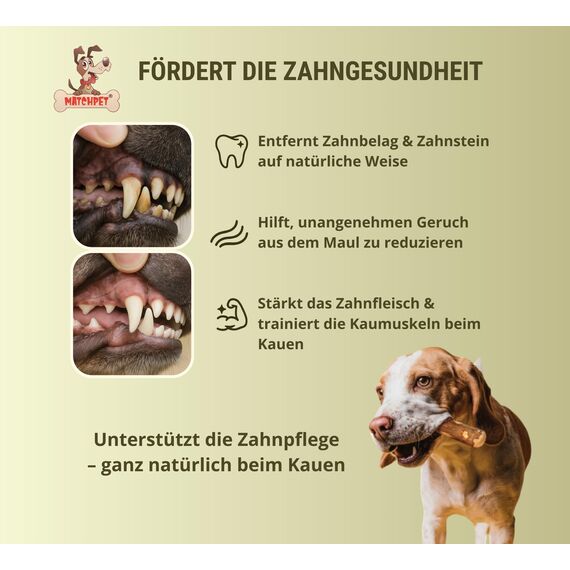 Matchpet Olivenholz für Hunde Mittel 2 Stück Kauholz Mittlere Holzknochen als Hundespielzeug Kauspielzeug Hund