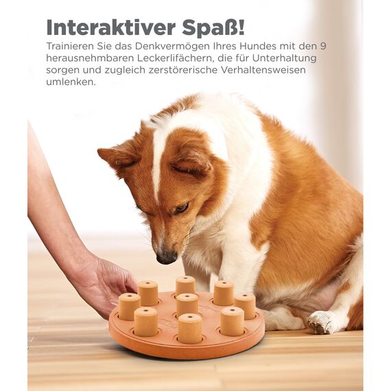 Outward Hound Nina Ottosson Hundespielzeug Intelligenz - Stufe 1 Anfänger - Leckerli-Spender, Beschäftigung & Intelligenzspielzeug für Hunde & Welpen, bei Langeweile & mentaler Stimulation