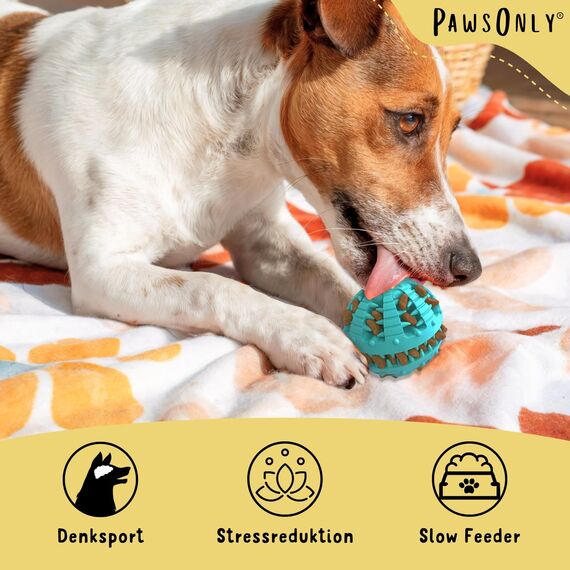 PawsOnly | Hundespielzeug | Leckerli Ball für Hunde | Intelligenzspielzeug | Snackball Hund | Hundebeschäftigung | Futterball Naturkautschuk | Welpenspielzeug | Zahnputzball (Klein 6 cm, Blau)