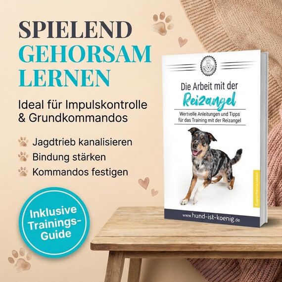 HUND IST KÖNIG Reizangel für Hunde - Profi Hundeangel für ultimativen Spielspaß & körperliche Auslastung - inkl. 2 Tauen + Ersatzseil + eBook - robust & leicht, für große & kleine Fellnasen