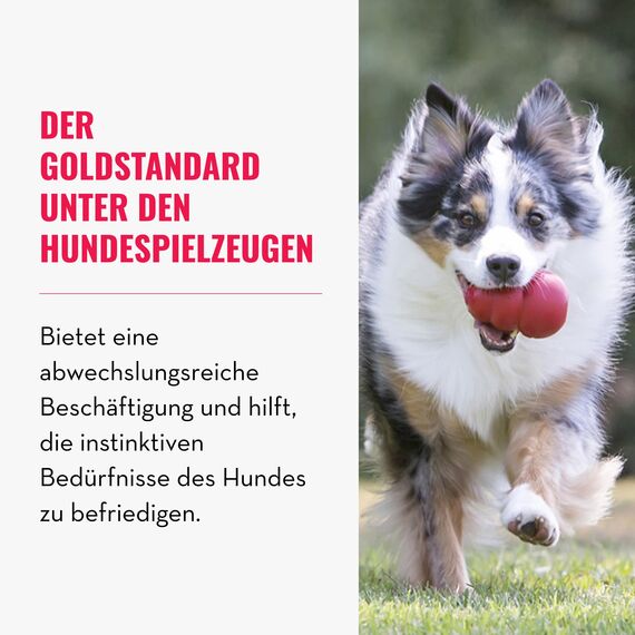KONG Classic - Füllbares Hundespielzeug - Apportier- und Kauspielzeug für Hunde - Kann Mit Leckerlis Gefüllt Werden - Strapazierfähiges Naturkautschukmaterial - Für Große Hunde