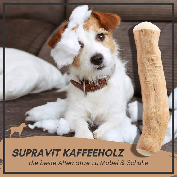 Supravit Natürlicher Kauknochen aus Kaffeeholz für Hunde L | Mehr als EIN Holzstäbchen - spannendes Hunde Kauspielzeug & langanhaltende Beschäftigung | Kaustab Kauholz (Packung mit 2)