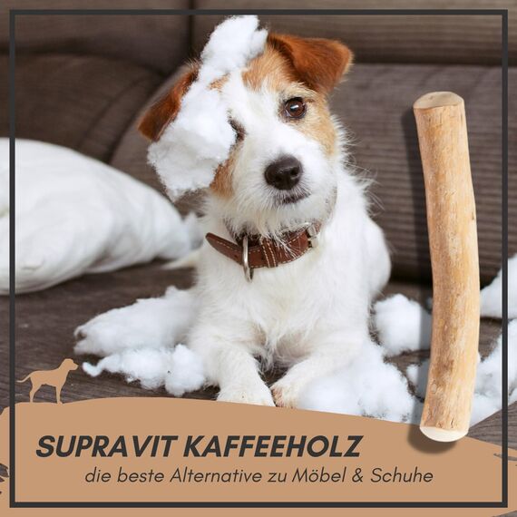 Supravit Natürlicher Kauknochen aus Kaffeeholz für Hunde S | Mehr als EIN Holzstäbchen - spannendes Hunde Kauspielzeug & langanhaltende Beschäftigung | Kaustab Kauholz (Packung mit 2)