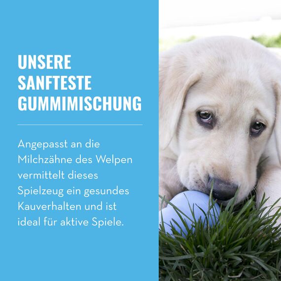 KONG Puppy - Befüllbares Beißspielzeug für Hunde - Naturkautschuk - Für Mittelgroße Welpen - Rosa