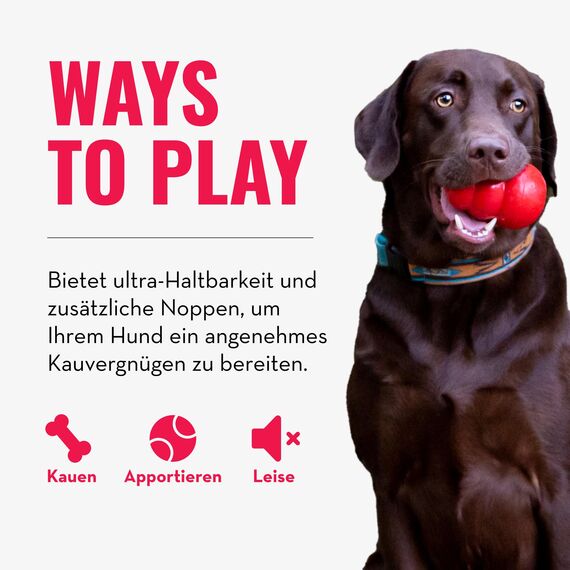 KONG Ring - Hundekauspielzeug - Unterstützt die Zahngesundheit - Langlebiger Naturkautschuk - Für Kleine/Mittelgroße Hunde