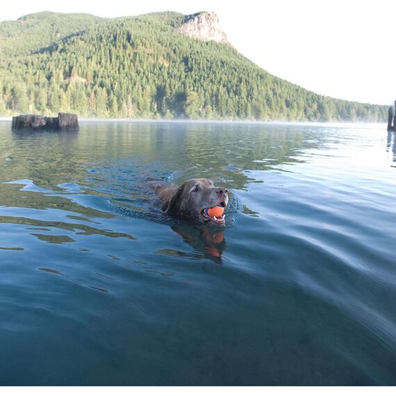 Chuckit! – Ultra Ball XLarge – Robuster und vielseitiger Ball für große Hunde – Schwimmt auf der Wasseroberfläche – Kompatibel mit Launchern – 8,5 cm Durchmesser, Mehrfarbig