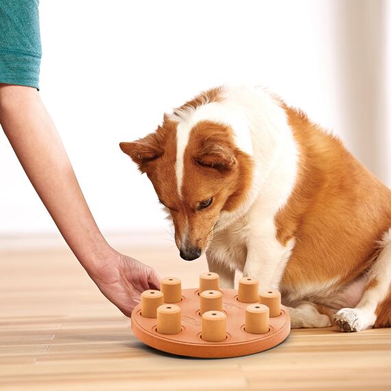 Outward Hound Nina Ottosson Hundespielzeug Intelligenz - Stufe 1 Anfänger - Leckerli-Spender, Beschäftigung & Intelligenzspielzeug für Hunde & Welpen, bei Langeweile & mentaler Stimulation