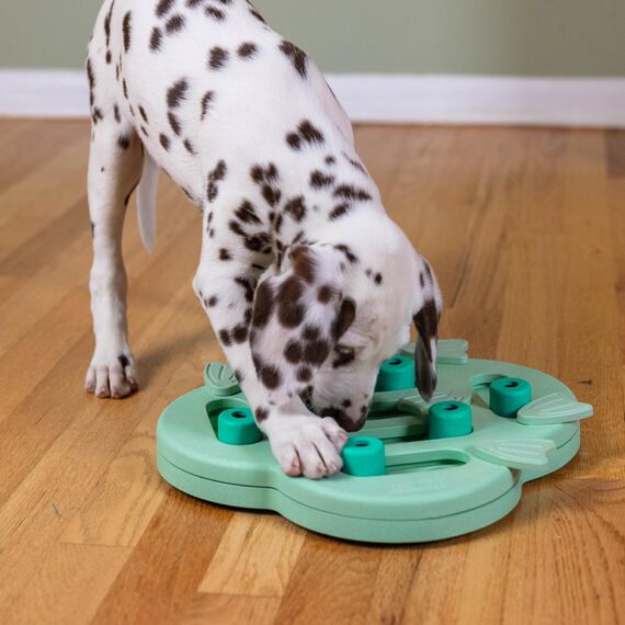 Outward Hound Nina Ottosson Puppy Hide n' Slide - Interaktives Leckerli-Denkspielzeug für Hunde - Grün