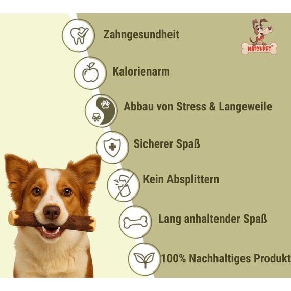 Matchpet Olivenholz für Hunde Mittel 2 Stück Kauholz Mittlere Holzknochen als Hundespielzeug Kauspielzeug Hund