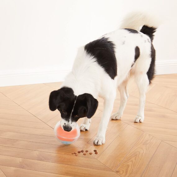 Outward Hound Nina Ottosson Dog Rumble Puzzle - Interaktives Intelligenzspielzeug - Spielball für Hunde mit Leckerli-Labyrinth