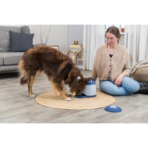 TRIXIE Hundespielzeug Intelligenz Dog Activity Strategie-Spiel Memory Trainer 3.0 – Anspruchsvolles Intelligenzspielzeug für Hunde zur Beschäftigung 20x24cm, tierschutzkonform - 32040
