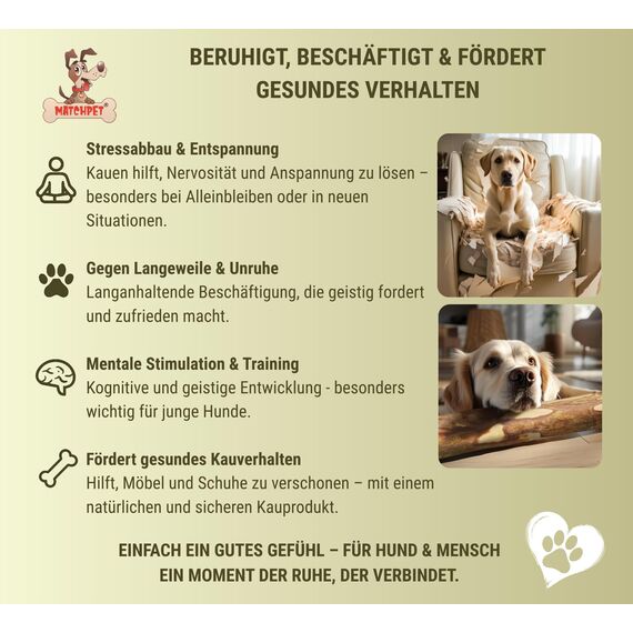 Matchpet Olivenholz für Hunde Mittel 2 Stück Kauholz Mittlere Holzknochen als Hundespielzeug Kauspielzeug Hund