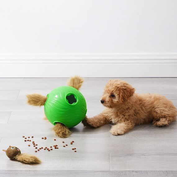 Outward Hound Nina Ottosson Dog Snuffle N' Treat Ball Interaktive Leckerbissen Ball Hund Puzzle Hund Bereicherung Hundespielzeug, Level 2 Intermediate, grün, groß