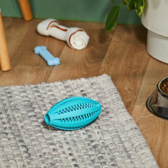 TRIXIE TRIXIE Denta Fun Rugbyball Mintfresh ø 11 cm