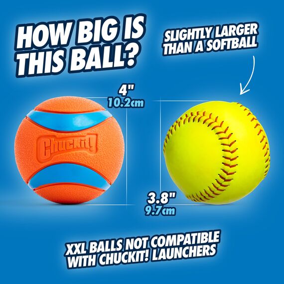 Chuckit! CH170501 Ultra Ball XXLarge 1-er Pack, Multi, XXL, 4-Inch, 1-Pack