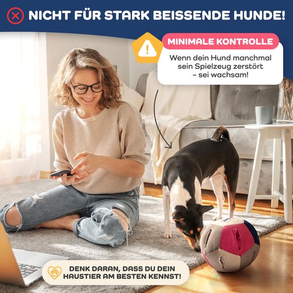 Lixdee Schnüffelball für Hunde – Intelligenzspielzeug mit 4 Schwierigkeitsstufen – Interaktives Hundespielzeug für Leckerlis & zur Förderung der Intelligenz – Beschäftigung für kleine & große Hunde