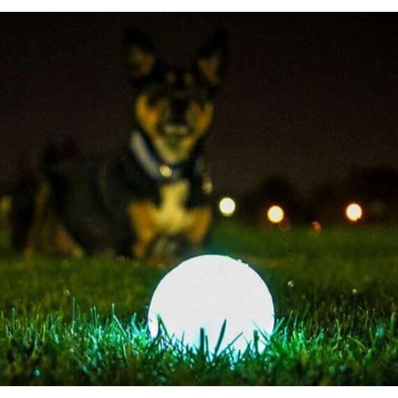 Chuckit – Max Glow Ball Large – Phosphoreszierender Ball für Hunde – Gummiball – weich im Mund – verstärkt die Komplizenschaft – Größe Large – Durchmesser 7,5 cm
