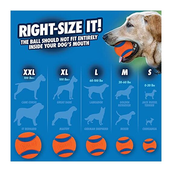 Chuckit! Ultra Ball Large (Packung mit 2)