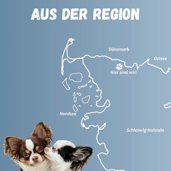 Topdog Kauknochen Hund 10 Stück 12 cm - Rinderhautknochen für Hunde aus 100% Rind - Hundekauknochen - Pflegt die Zähne und unterstützt den natürlichen Kautrieb Ihres Hundes