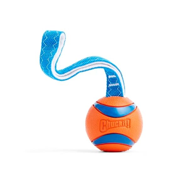 Chuckit! CH231301 Ultra Tug Large (Packung mit 2)