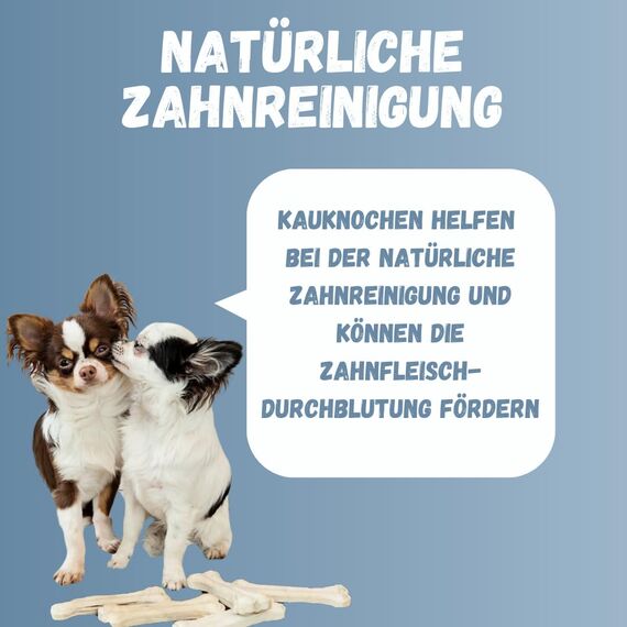 Topdog Kauknochen Hund 10 Stück 12 cm - Rinderhautknochen für Hunde aus 100% Rind - Hundekauknochen - Pflegt die Zähne und unterstützt den natürlichen Kautrieb Ihres Hundes