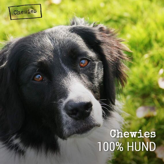 Chewies Kau-Knochen Hunde-Spielzeug aus Olivenholz, 100% natürliches Hundezubehör, Kauspielzeug Hund bis 3kg Größe XXS