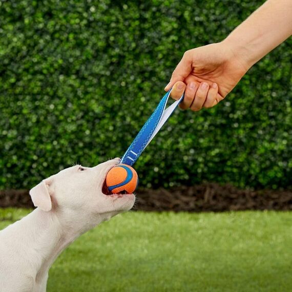 Chuckit! CH231101 Ultra Tug Small, Orange/Blau