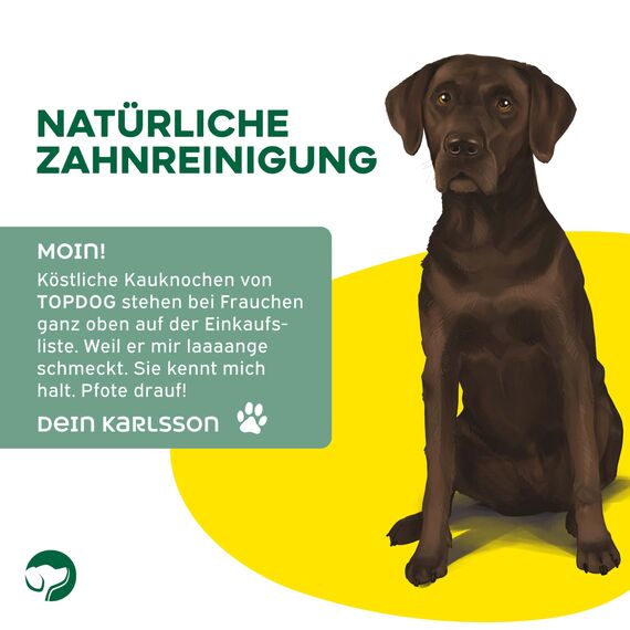 Topdog Kauknochen Hund 100 Stück 12 cm - Rinderhautknochen für Hunde aus 100% Rind - Hundekauknochen - Pflegt die Zähne und unterstützt den natürlichen Kautrieb Ihres Hundes