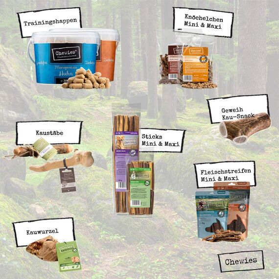 Chewies Kauknochen Hunde-Spielzeug aus Olivenholz für Hunde - 100 % natürliches Hundezubehör risikoarm & langlebig - Größe L: Für Hunde bis 30 kg Körpergewicht
