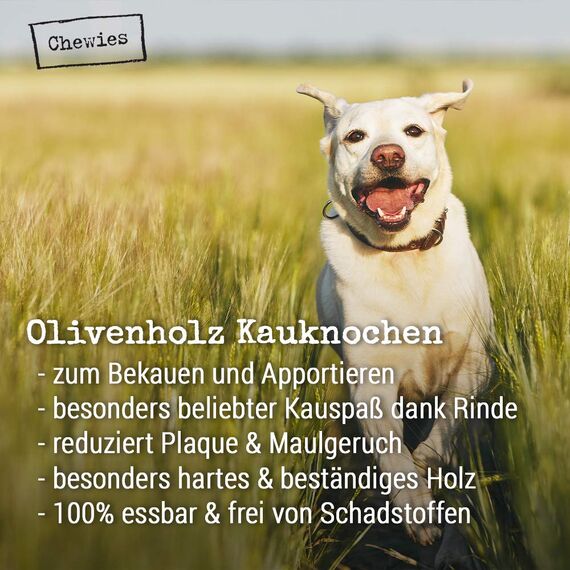 Chewies Kauknochen Hunde-Spielzeug aus Olivenholz für Hunde - 100 % natürliches Hundezubehör risikoarm & langlebig - Größe M: Für Hunde bis 20 kg Körpergewicht
