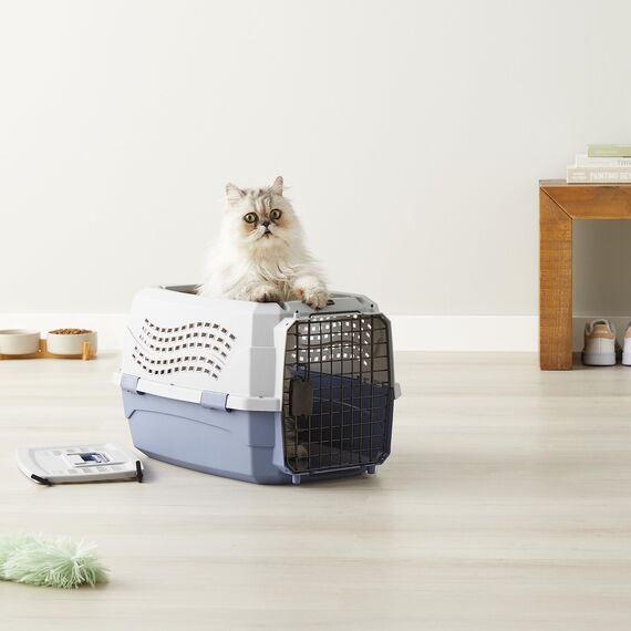 Amazon Basics zweitürige, überladbare Hund hütte, 58L x 38W x 33H cm, Blau
