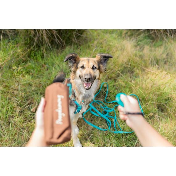 Trixie 32191 Dog Activity Preydummy, ø 6 × 14 cm, braun