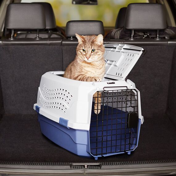 Amazon Basics zweitürige, überladbare Hund hütte, 58L x 38W x 33H cm, Blau