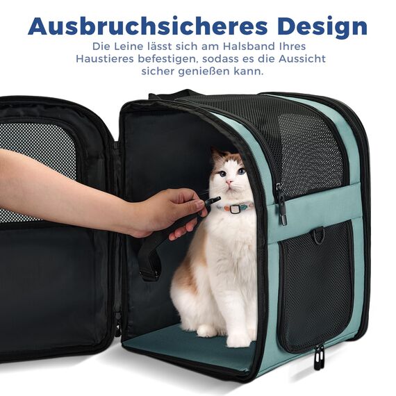 apollo walker HundeRucksack und KatzenRucksack für Kleine Haustiere(Belastbarkeit 2-15kg) - Gepolsterter Rückenstütze Hundetasche Atmungsaktiver Netz-Tierrucksack für Wandern, Reisen, Outdoor Blau