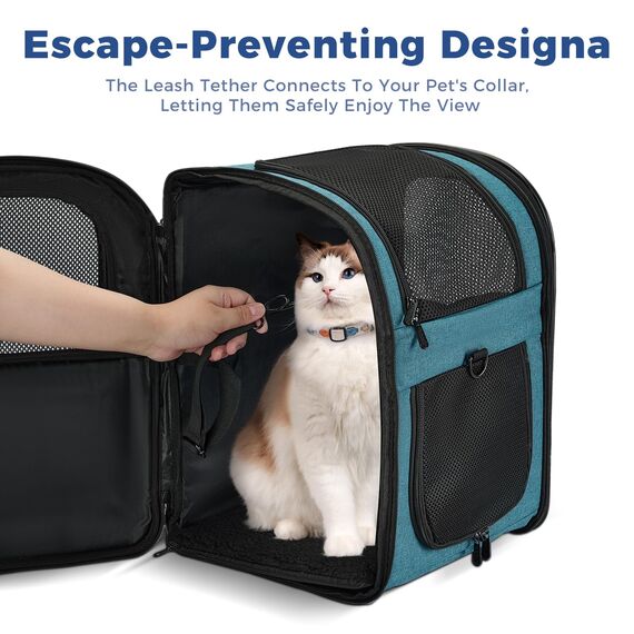 apollo walker HundeRucksack und KatzenRucksack für Kleine Haustiere(Belastbarkeit 2-15kg) - Gepolsterter Rückenstütze Hundetasche Atmungsaktiver Netz-Tierrucksack für Wandern, Reisen, Outdoor See blau