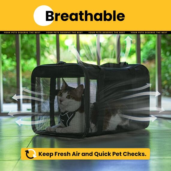 Conlun Katzentransportbox,Weiche Katzentransporttasche mit 4-seitigem Netz, Flugzeugtaugliche Katzentasche für Kleine&Mittelgroße Katze Kätzchen Welpen bis 6 Kg, Hundetransportbox Faltbar-M, Schwarz