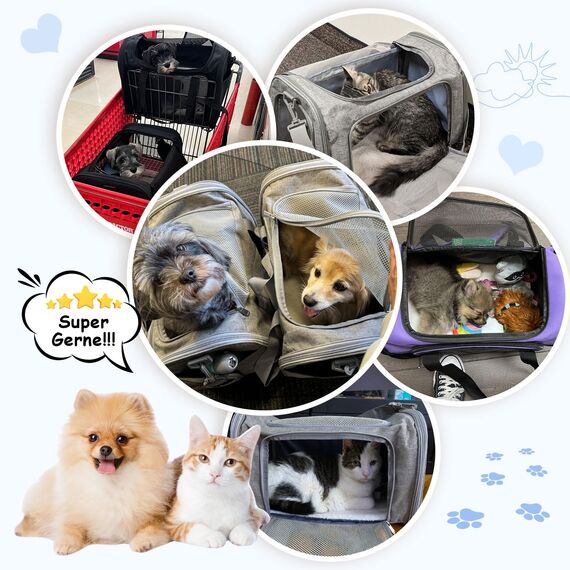 TOFFCAEA Transporttasche für Katze Hund, Hundetransportbox, Faltbare Katzentransportbox, tragbar, 5kg Katzen Hunde Tragebox, für mittelgroße Hunde, Katze (Dunkelblau, L 43 x B 28 x H 28 cm)