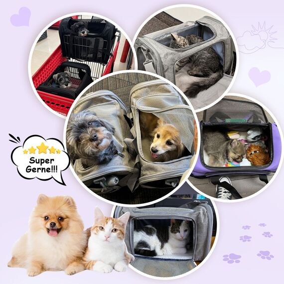 TOFFCAEA Transporttasche für Katze Hund, Hundetransportbox, Faltbare Katzentransportbox, tragbar, 5kg Katzen Hunde Tragebox, für mittelgroße Hunde, Katze (Lila, L 50 x B 34 x H 34 cm)