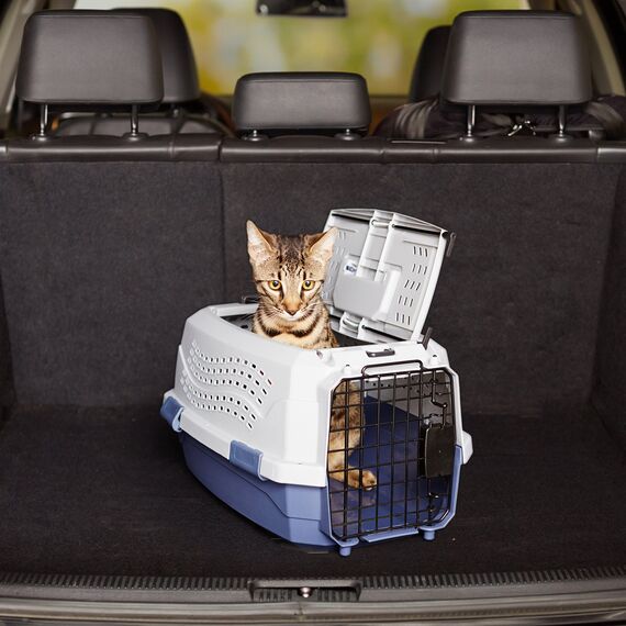 Amazon Basics Hund Transportbox für Haustiere, 2 Türen, 1 Dachöffnung, L 48 x B 32 x H 25 cm, Blau