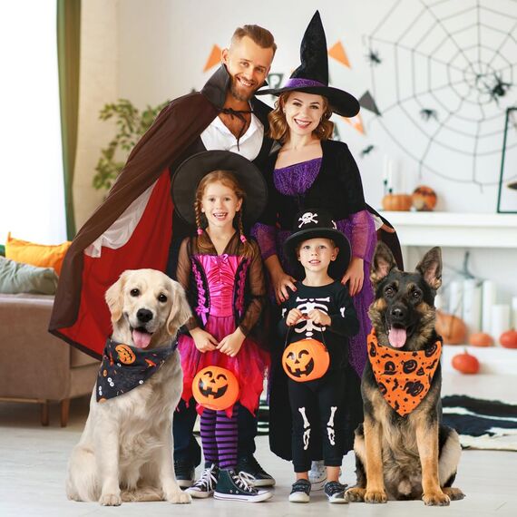 Vivifying Halloween Halstuch Hund, 2Pcs Einstellbare Dreieck Hundehalstuch mit Hexe Kürbis-Muster, Hundekostüm Halloween für kleine mittlere große Hunde L
