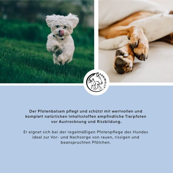 Annimally Pfotenbalsam Hund 50g – Pfotenschutz für Hund & Katze mit Bienenwachs, Sheabutter & Ringelblumenöl – Pfotensalbe für die Pfotenpflege im Sommer bei Hitze & heißem Asphalt - Hundepflege