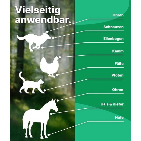 Emma Grün® Pfotenbalsam Hund 100ml – Pfotenschutz vor Streusalz, EIS & heißem Asphalt – Pfotenpflege bei trockenen, rissigen Pfoten & Nasen – Hundepfoten Balsam mit Jojoba, Propolis & Bienenwachs