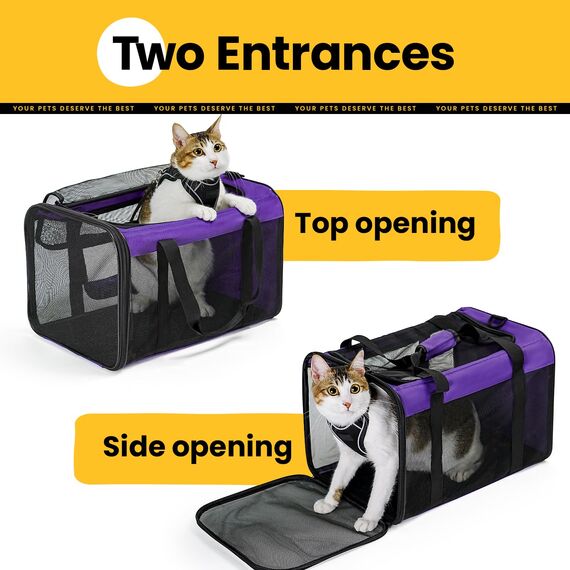 Conlun Katzentransportbox,Weiche Katzentransporttasche mit 4-seitigem Netz, Flugzeugtaugliche Katzentasche für Kleine&Mittelgroße Katze Kätzchen Welpen bis 6 Kg, Hundetransportbox Faltbar-M, Lila
