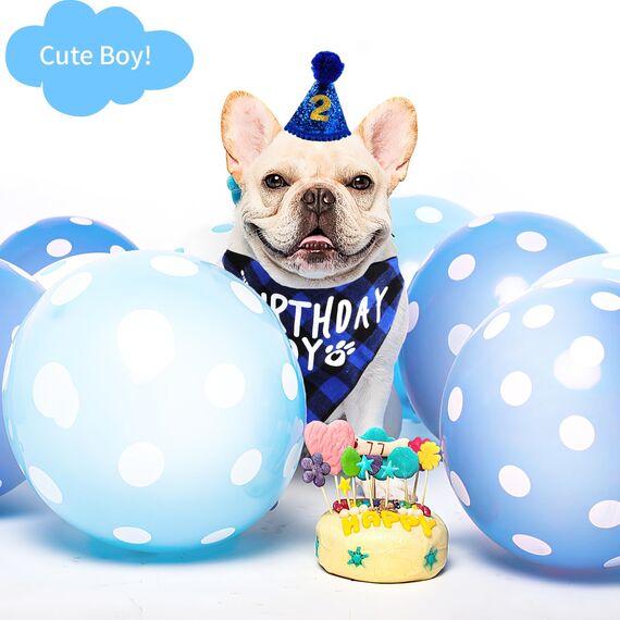 Hunde Geburtstag Hut Bandana Set, 3 Stücke Hunde Geburtstags Bandana Mütze mit 8 Bling Nummern, Hundegeburtstagsgeschenk, Hund Geburtstag Deko (Blau)