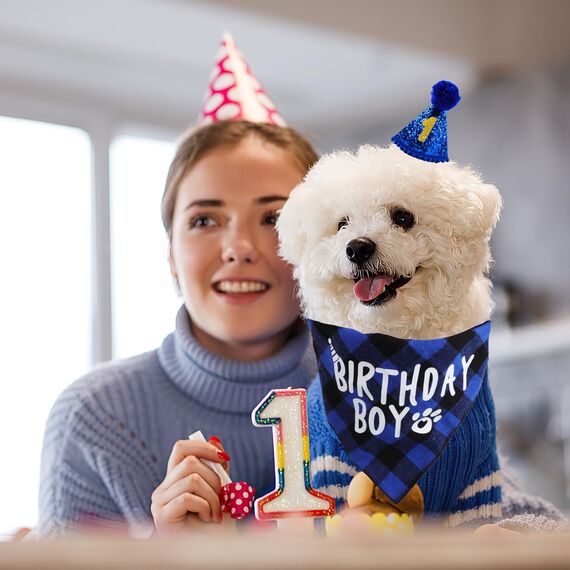 Hunde Geburtstag Hut Bandana Set, 3 Stücke Hunde Geburtstags Bandana Mütze mit 8 Bling Nummern, Hundegeburtstagsgeschenk, Hund Geburtstag Deko (Blau)