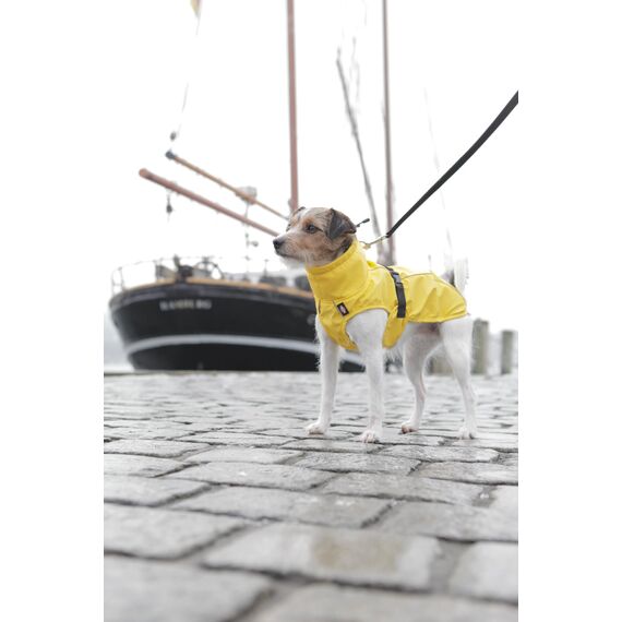 TRIXIE Regenmantel Vimy für Hunde gelb XS - Bauchumfang: 24 - 41 cm – Hunde-Regenjacke mit reflektierenden Elementen für mehr Sichtbarkeit im Dunkeln – bequem & verstellbar - 67971