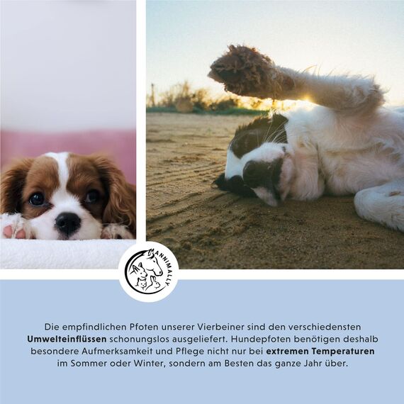 Annimally Pfotenbalsam Hund 50g – Pfotenschutz für Hund & Katze mit Bienenwachs, Sheabutter & Ringelblumenöl – Pfotensalbe für die Pfotenpflege im Sommer bei Hitze & heißem Asphalt - Hundepflege